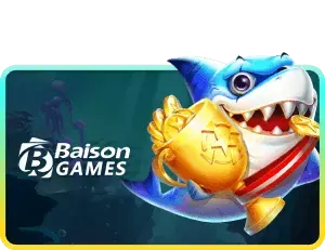 Baison Fishing